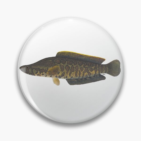 Item preview, Northern snakehead (Channa argus) designed and sold by LeakyCanoeArt.