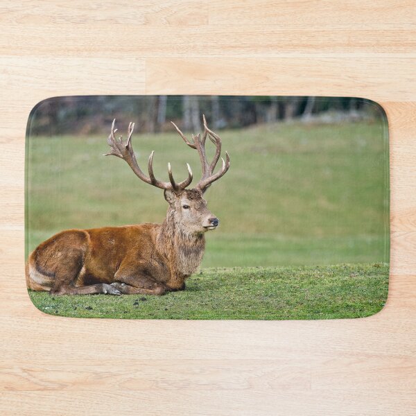 Item preview, Red Deer Buck designed and sold by Michael Cummings.
