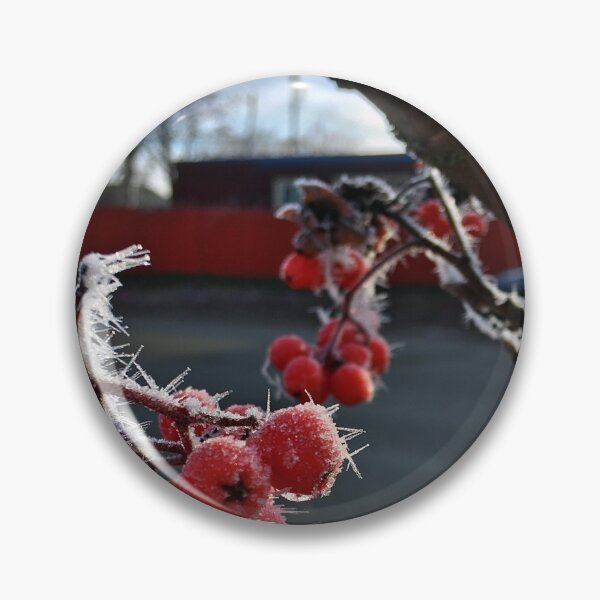 Item preview, Frosty Mountain Ash Berries on a Cold November Morning designed and sold by Ric1926.