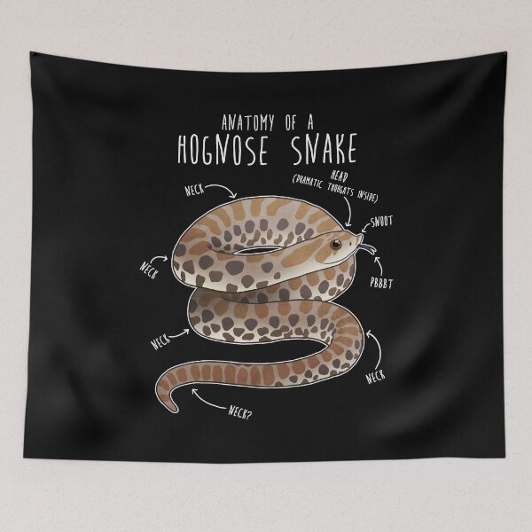 Item preview, Anatomy of a Hognose Snake designed and sold by Clara Hollins.