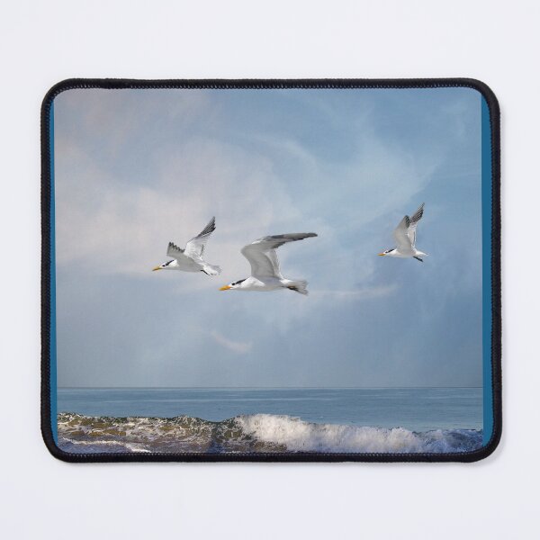 Item preview, 5177 designed and sold by peter holme III.