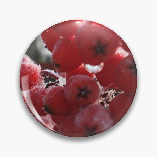 Item preview, Mountain Ash Berries a Cold  and Frosty November Morning designed and sold by Ric1926.