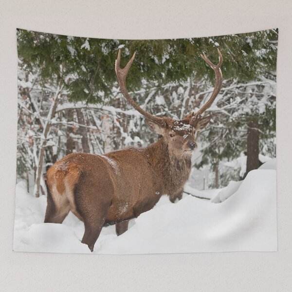 Aperçu de l'œuvre Red Deer créée et vendue par Michael Cummings.