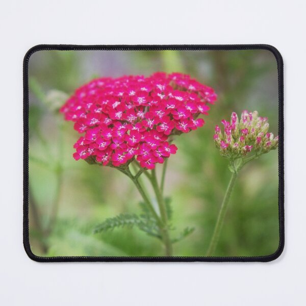Item preview, Pretty In Pink designed and sold by Christine Lake.