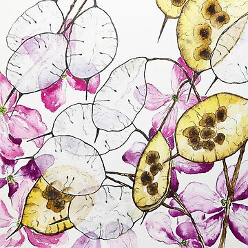 Artwork thumbnail, Honesty 'Lunaria Annua' Penny Flower Watercolour by SarahGoughArt