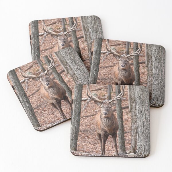 Item preview, Bull Red Deer designed and sold by Michael Cummings.
