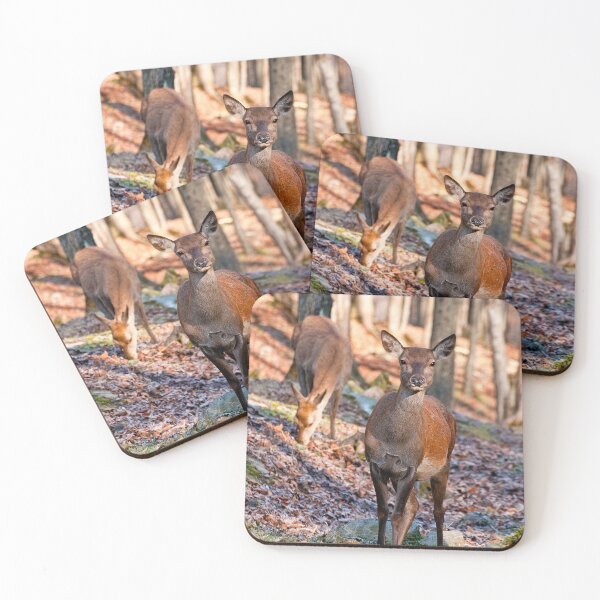 Item preview, Young Red Deer  designed and sold by Michael Cummings.