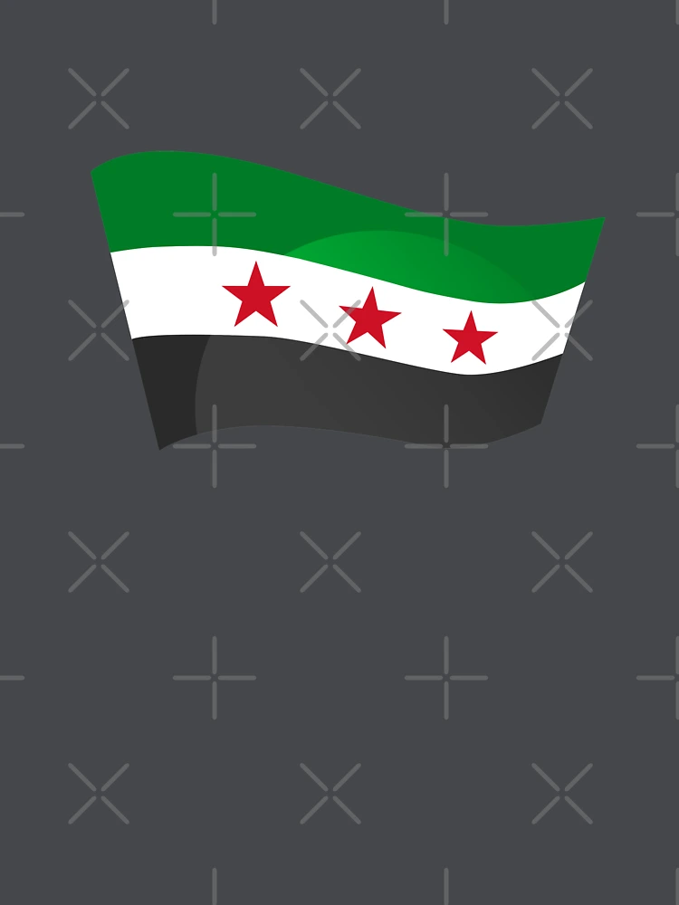 Syria Flag American Flag Ripped - Gift for Syrian From Syria