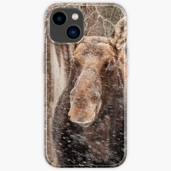 iPhone 14 - Soft