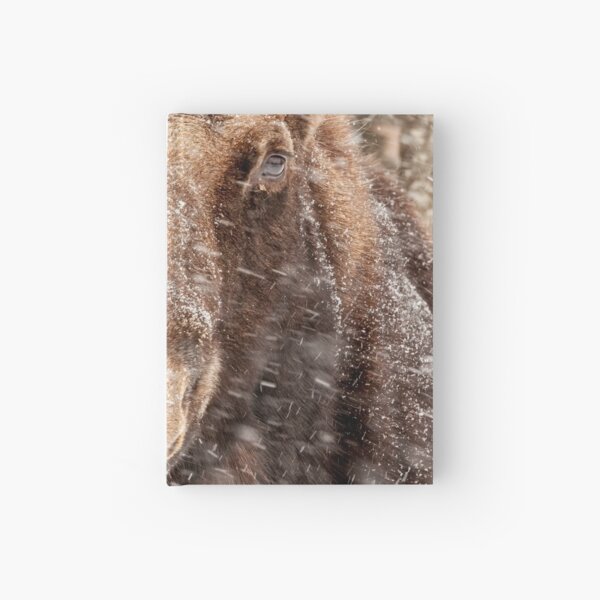 Hardcover Journal