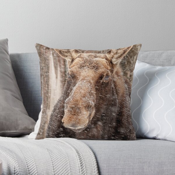 Throw Pillow