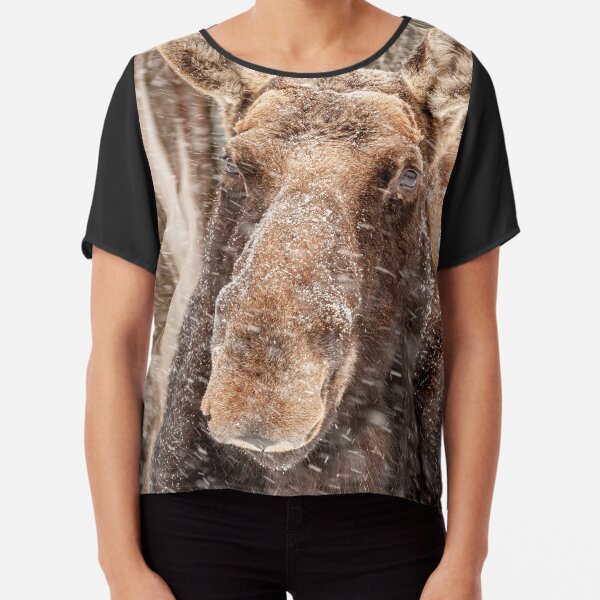 Chiffon Top