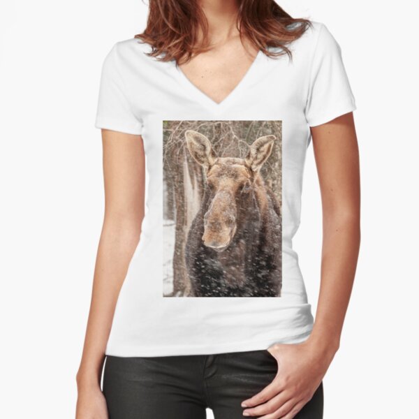 Fitted V-Neck T-Shirt