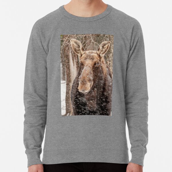 Lightweight Sweatshirt