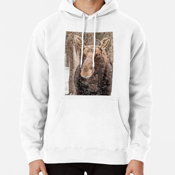 Hoodie (Pullover)