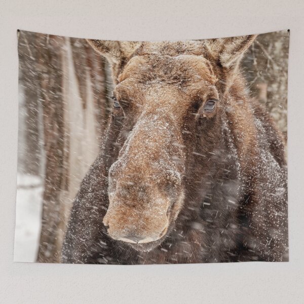 Item preview, Cow Moose designed and sold by Michael Cummings.