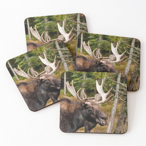 Item preview, Bull Moose designed and sold by Michael Cummings.