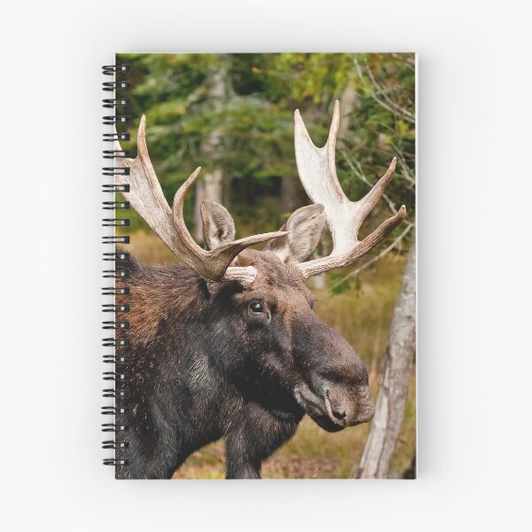 Item preview, Bull Moose designed and sold by Michael Cummings.