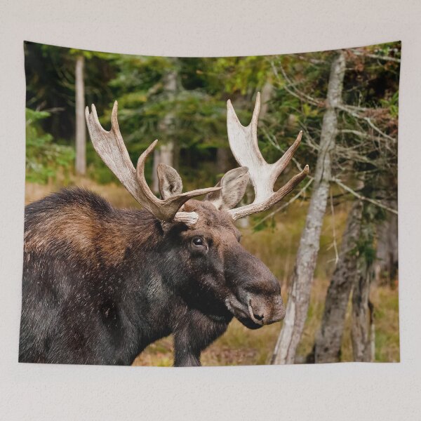 Item preview, Bull Moose designed and sold by Michael Cummings.