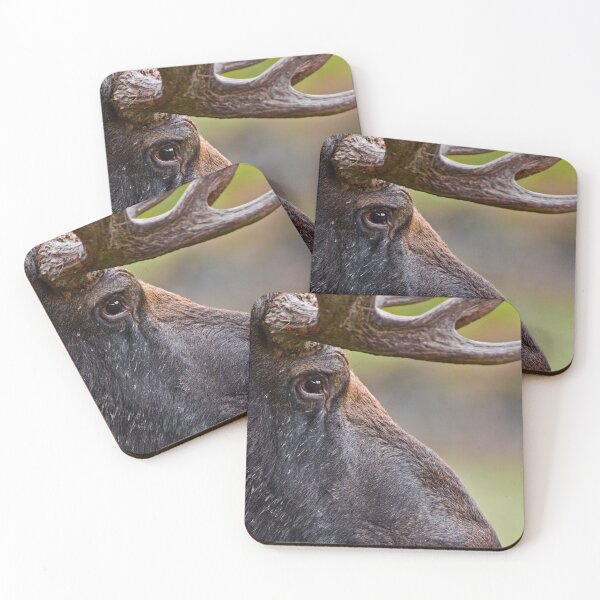 Item preview, Bull Moose designed and sold by Michael Cummings.