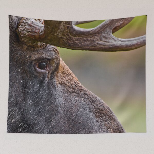 Item preview, Bull Moose designed and sold by Michael Cummings.