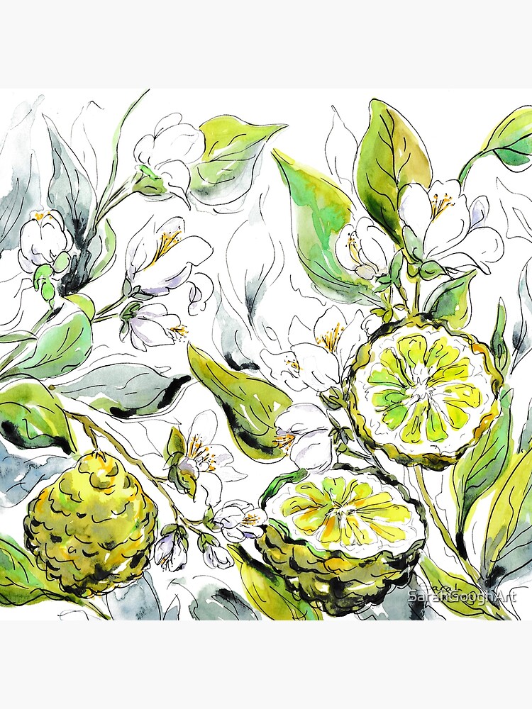 Thumbnail 3 of 3, Canvas Print, Bergamot Fruit and Flowers designed and sold by SarahGoughArt.