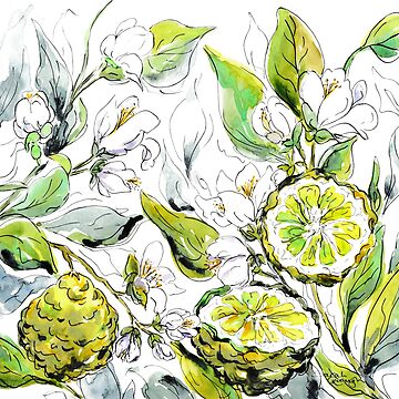Artwork thumbnail, Bergamot Fruit and Flowers by SarahGoughArt