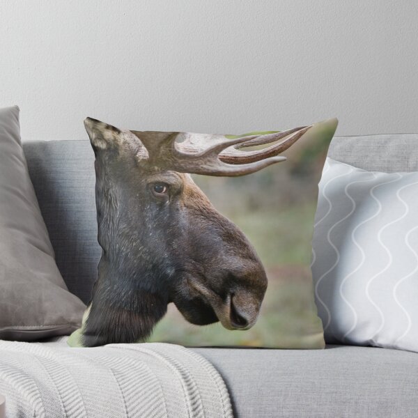 Item preview, Bull Moose designed and sold by Michael Cummings.