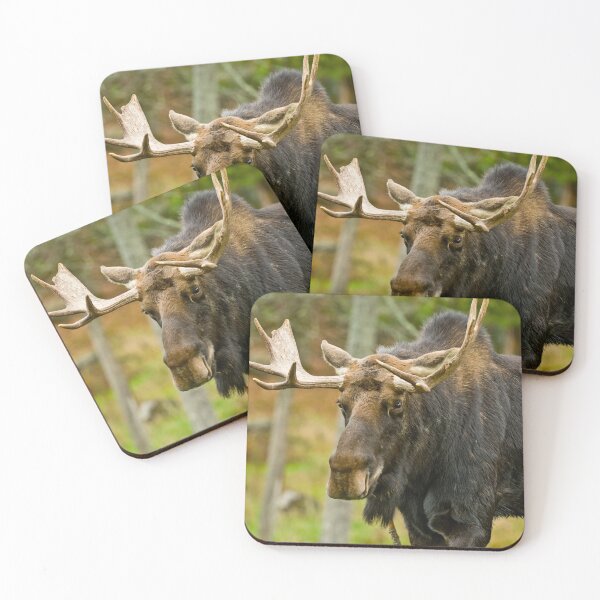 Item preview, Bull Moose designed and sold by Michael Cummings.