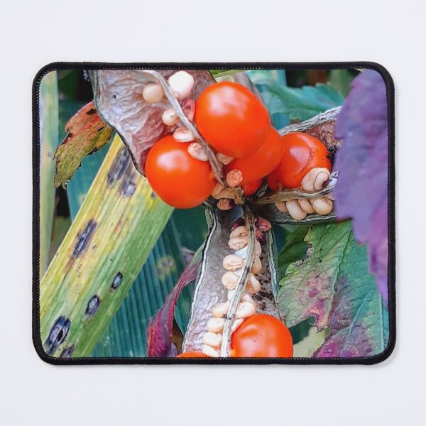 Item preview, Autumn berries designed and sold by AndreaBS.