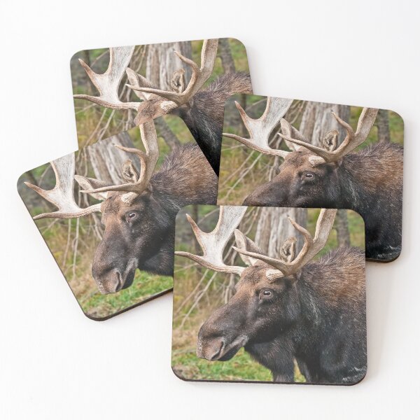 Item preview, Bull Moose designed and sold by Michael Cummings.