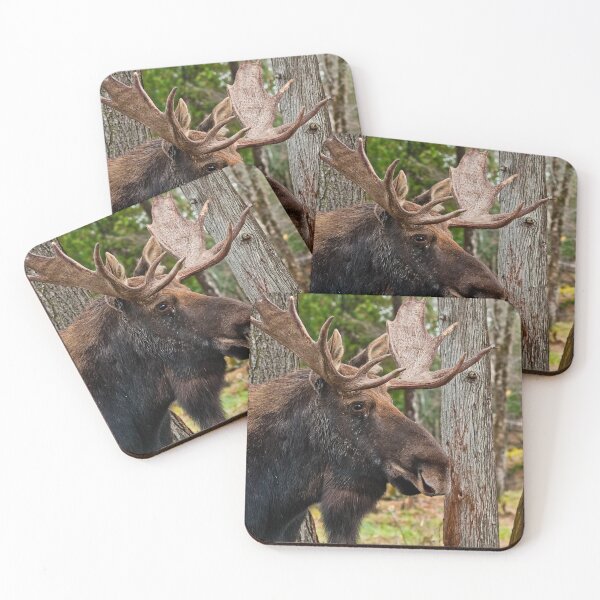 Item preview, Bull Moose designed and sold by Michael Cummings.