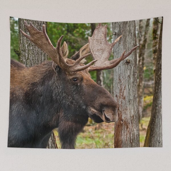 Item preview, Bull Moose designed and sold by Michael Cummings.