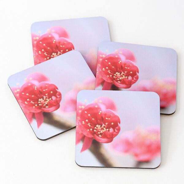 Item preview, Blossoms Waiting for Pollination designed and sold by KauriMountain.