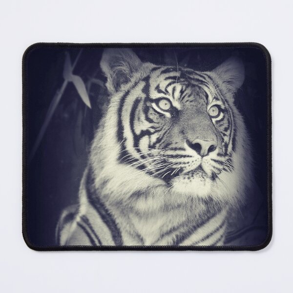 Item preview, Black & White Sumatran Tiger designed and sold by SkatingGirl.