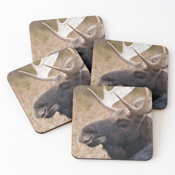Item preview, Bull Moose designed and sold by Michael Cummings.