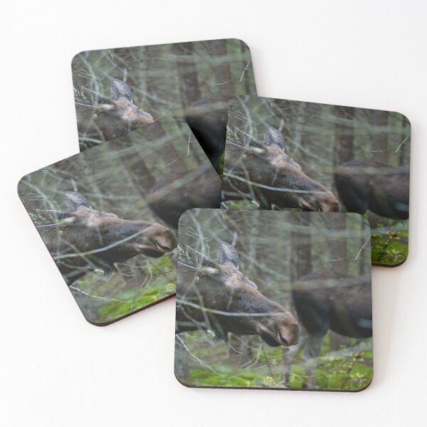 Item preview, Moose In Woods designed and sold by Michael Cummings.