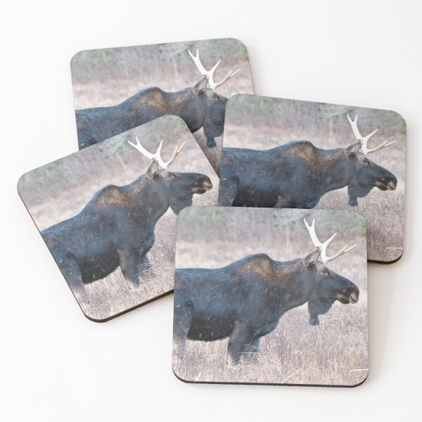 Item preview, Bull Moose designed and sold by Michael Cummings.