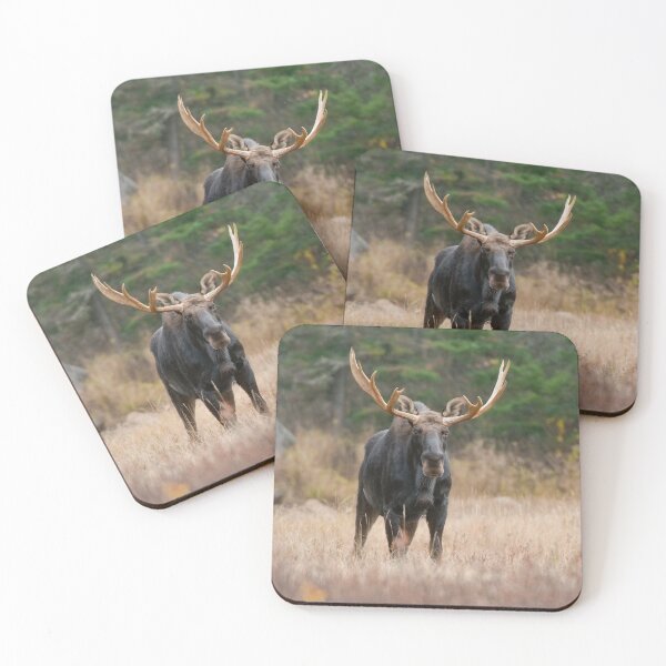 Item preview, Bull Moose designed and sold by Michael Cummings.