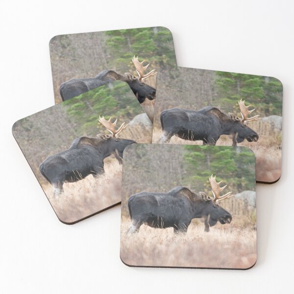 Item preview, Bull Moose In Field designed and sold by Michael Cummings.