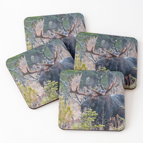 Item preview, Bull Moose designed and sold by Michael Cummings.