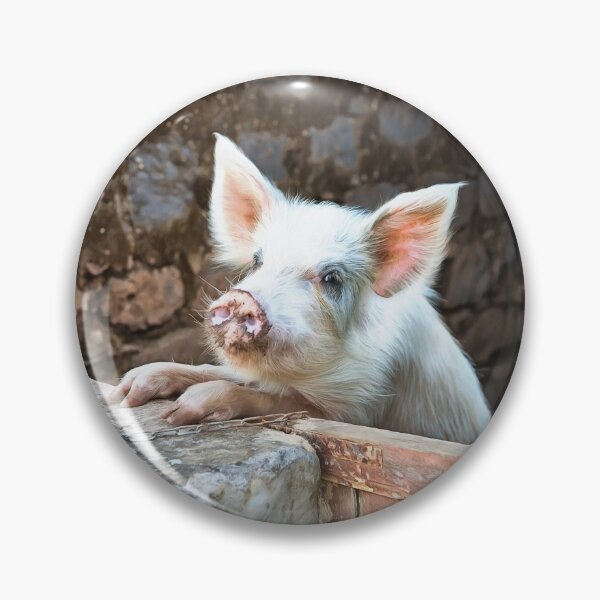 Item preview, Cute White Pig designed and sold by Graham Prentice.