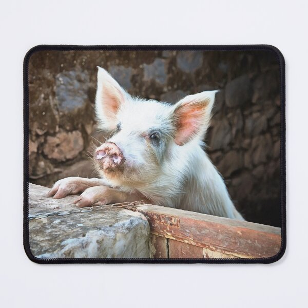 Item preview, Cute White Pig designed and sold by Graham Prentice.