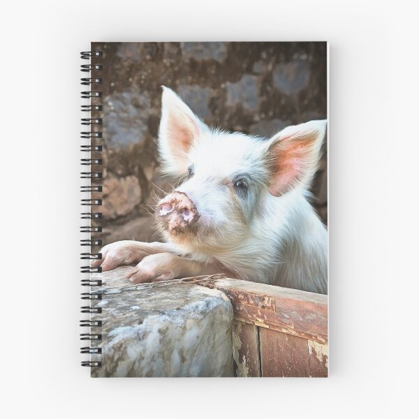 Item preview, Cute White Pig designed and sold by Graham Prentice.
