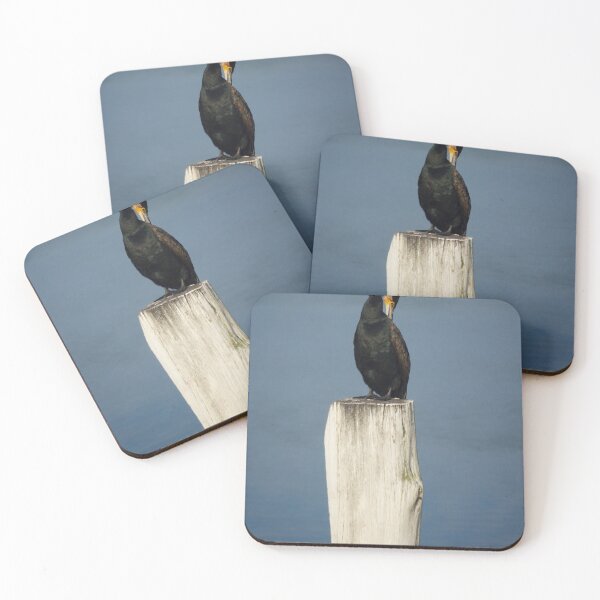 Item preview, Cormorant on a Post designed and sold by D-GaP.