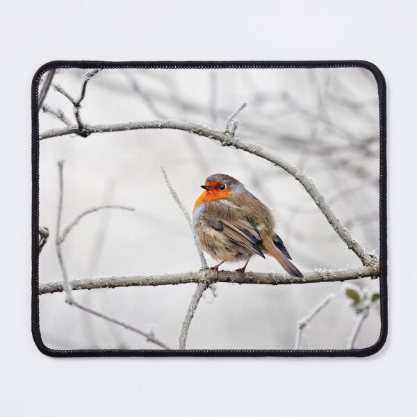 Item preview, Robin On Frosty Branch designed and sold by Graham Prentice.