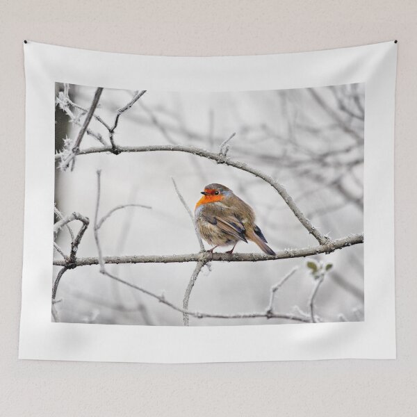 Item preview, Robin On Frosty Branch designed and sold by Graham Prentice.