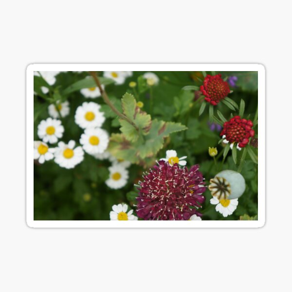Country Flowers Sticker