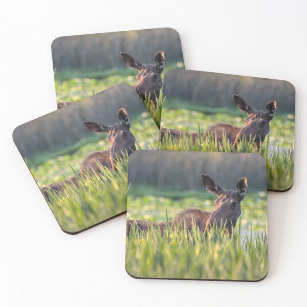Item preview, Cooling Off designed and sold by Tom Talbott.