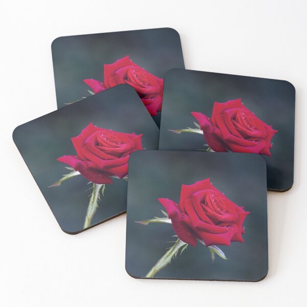 Item preview, Red Rose designed and sold by sinseeho.